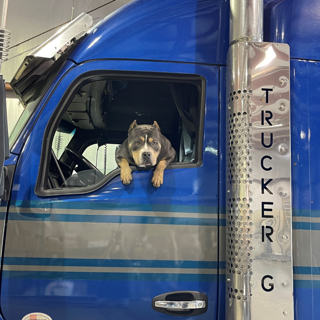 trucker g's dog