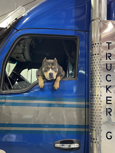 trucker g's dog